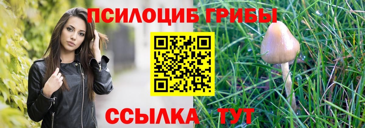 Шумерля  Псилоцибиновые грибы прущие грибы  наркота  Вход с VPN 